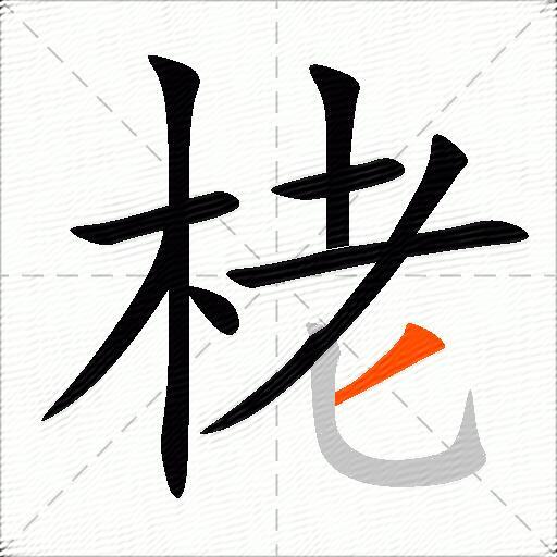 栳