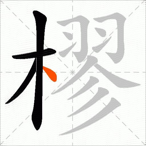 樛