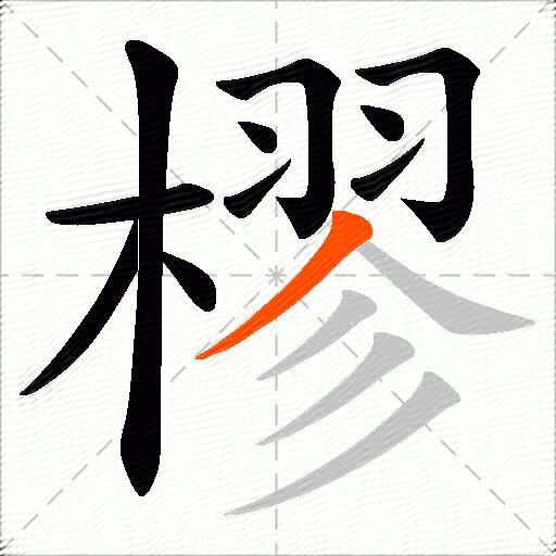 樛