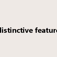 distinctive feature是什么意思