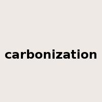 carbonization是什么意思