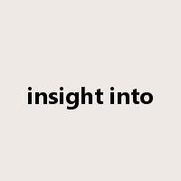insight into是什么意思