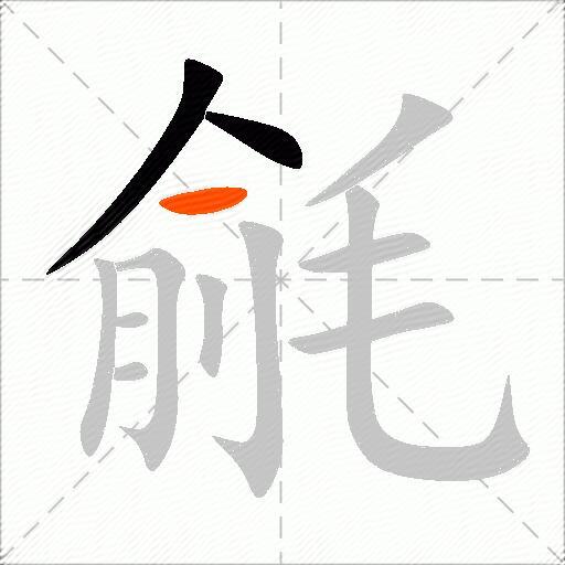 毹