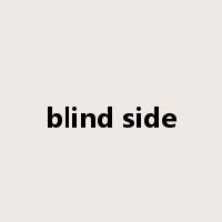 blind side是什么意思