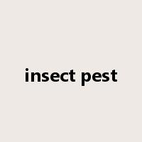 insect pest是什么意思
