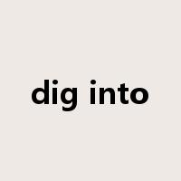 dig into是什么意思