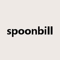 spoonbill是什么意思