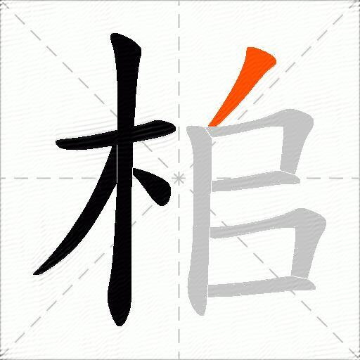 桘