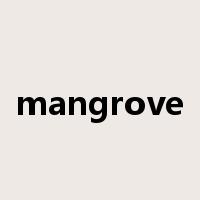 mangrove是什么意思