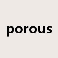 porous是什么意思
