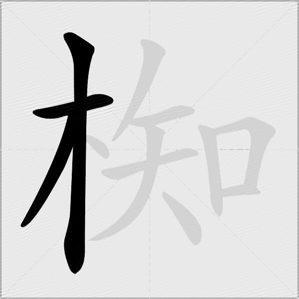 椥
