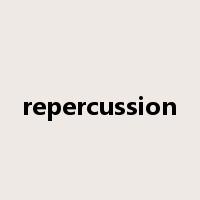 repercussion是什么意思
