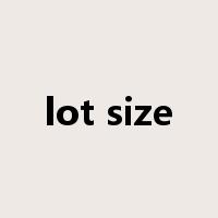 lot size是什么意思