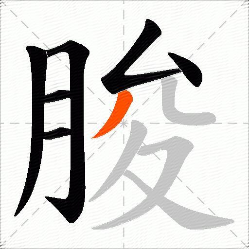 朘