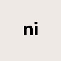 ni是什么意思