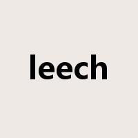 leech是什么意思