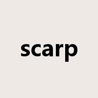 scarp是什么意思