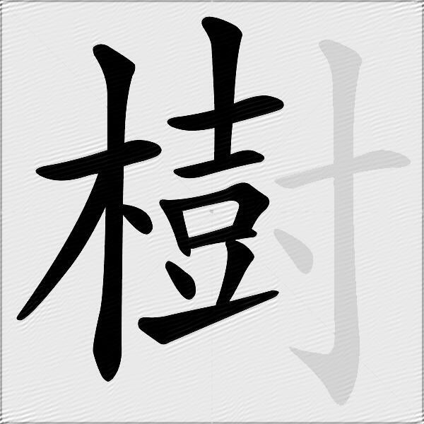 樹