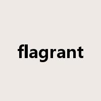 flagrant是什么意思