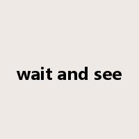 wait and see是什么意思
