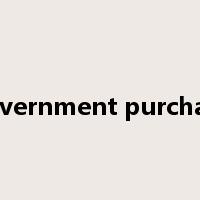 government purchase是什么意思