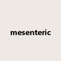 mesenteric是什么意思