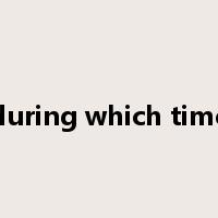 during which time是什么意思