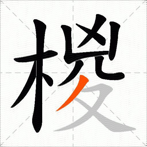 椶
