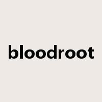 bloodroot是什么意思