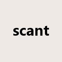 scant是什么意思