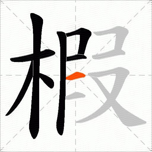 椵