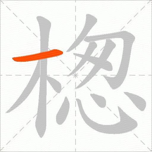 楤