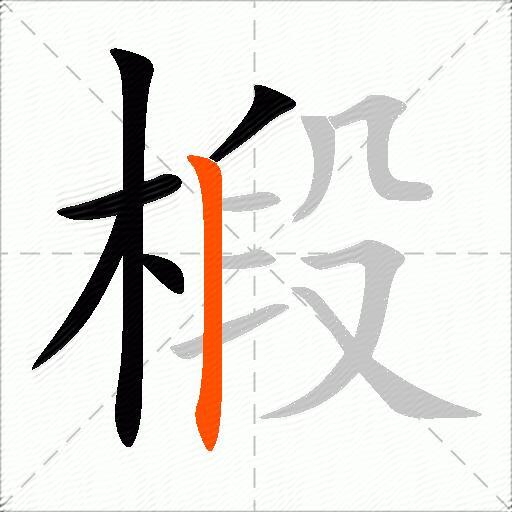 椴