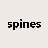 spines是什么意思