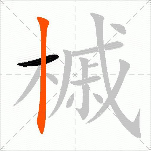 槭