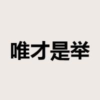 唯才是举是什么意思