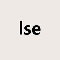 lse是什么意思