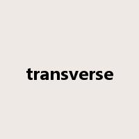 transverse是什么意思