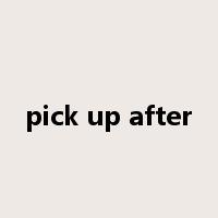 pick up after是什么意思