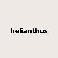 helianthus是什么意思