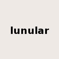 lunular是什么意思