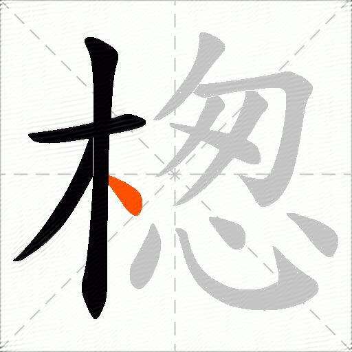 楤