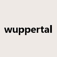 wuppertal是什么意思