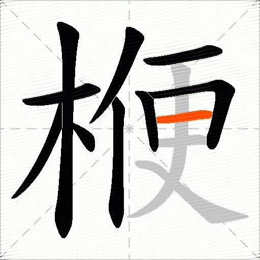 楩