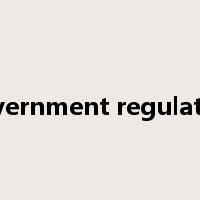 government regulation是什么意思