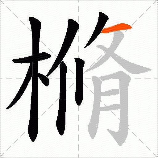 樇