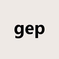 gep是什么意思