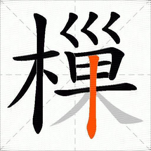 樔