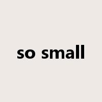 so small是什么意思
