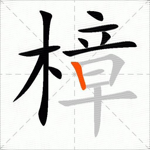 樟